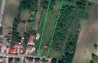 Casa din lemn + 29 de arii teren intravilan
