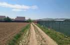 Teren 1500 mp., Magura Cujbic, Bacau - 3
