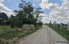 Teren intravilan 5000mp Burias, Peris IF - 3