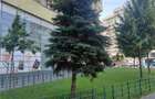 Vanzare apartament 4 camere | Pantelimon | Delfinului | et 410 | dec | - 3