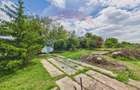 Casă 65 mp + teren 4000 mp, livadă, Butimanu - 22