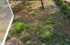 Apartament 3 camere decomandat | Parter | Pelendava - 2