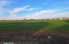 Teren intravilan Buftea - 9