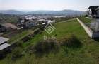 Teren de vanzare 10 ari - zona LEONI - 11