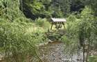 Cabana de inchiriat Valea Bratcutei - 5