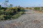 Gradina 355 mp Poiana basmelor - 3