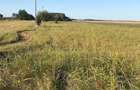 Vanzare teren intravilan Crivat Judetul Calarasi (30 km distanta de Bucuresti)fac - 4