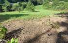 0 % Comision!Teren intravilan , 5330 mp, front de 29 m, in Feleac - 6