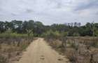 Teren intravilan 950 mp | POT 50% | CUT 2,2 | Zona Oxford Gardens