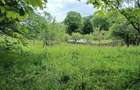 Teren intravilan, 1.584 mp, Com Talea, Jud Prahova - 6