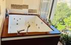 Penthouse Ultracentral Palas Mall 130 MP - 12