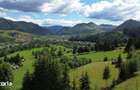 Teren intravilan 5620mp, acces public, panorama - 10