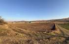 Teren Intravilan construibil de vanzare | 7.100 MP | IGHIEL, JUDETUL ALBA