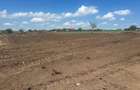 Teren de INCHIRIAT - Ideal pentru agricultura, livada, agrement sau camping! - 14