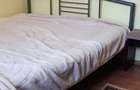 Apartament cu 2 camere semidecomandat în Central - 1