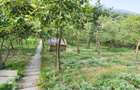 Teren intravilan 1600mp | Front 26m | Grigorescu | Zona strazii Donath