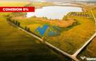 Teren Murighiol - Lacul Pietrei - locatie deosebita - Murighiol (Tulcea)