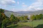 Vand teren intravilan in Valea Doftanei - 2