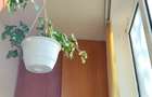 Apartament 2 camere confort 1, oras Giurgiu, bulevardul Bucuresti, zona linistita (spate Patibar) - 6