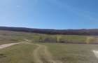 Teren de 2600 mp, în Reuseni - 1