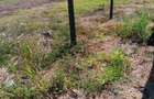 Teren de vanzare in Cumpana 500 mp Strada egretei nr 18 Toate utilitatile la poarta Pret 55000 euro 0757624849 nr proprietar - 3