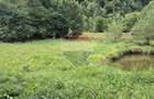 Teren de vis de 2.800 mp pe Valea Tarcaului Cu lac natural ?i padure
