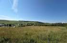 Teren intravilan 3.834 mp Babutiu | Panorama superba la <20 km de Cluj - 8
