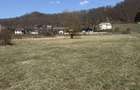Teren de 6000 mp, în Ileanda - 5