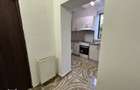 Apartament 1 camera Boul Rosu de inchiriat - 11