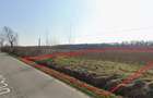 Teren intravilan curti-constructii - La marginea padurii Racari,Ghimpati - 2