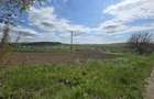 proprietar vand teren intravilan 11.750 mp com. Traian jud. Bacau - 2