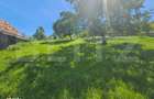 Teren extravilan, 90 ha, padure si faneata, zona Inuri - 2