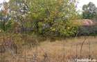 ULMENI- Buzau, teren intravilan 7000 mp. la soseaua nationala, deschidere 53 m.* - 3