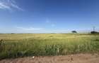 Teren 10 hectare pretabil pt panouri solare-Aricesti Rahtivani - 12