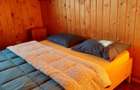 Cabana de inchiriat BELIS, ciubar +sauna incluse DEALU BOTII - 3
