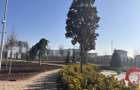 Studio 2 camere investi?ie - West Avenue - Chiajna/ Militari - 6