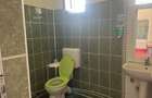 Spatiu comercial de inchiriat - 8