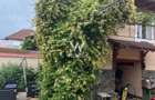 Casa saseasca renovata, cu sura - Seica Mare, Sibiu - 7