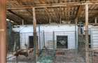 Casă cu 5 camere cu Teren 1300 Mp în Salcia - 8