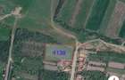 Teren intravilan de vanzare, 4138 mp, acces asfaltat