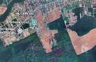 Vanzare teren constructie casa CIOFLICENI - SNAGOV - 3