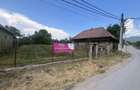 Gradina Bunicii De Odinioara,De Vanzare -Papauti,Covasna. - 6
