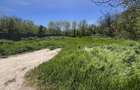 TEREN OLIMP INVESTITIE ZONA IN DEZVOLTARE - 4