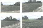 Teren 3500 mp strada Jalcau, Radauti (Licitatie) - 1