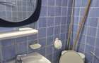 Ofer spre inchiriere apartament cu o camera 28mp in rogerius - 2