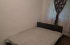 Apartament cu 3 camere decomandat în Craiovița Nouă - 5