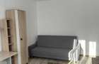 Garsonieră decomandată în Dosu Bricii - 1