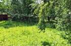 Proprietate de vanzare - 4
