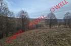 Teren extravilan de vânzare în Sărămaș, pe punctul de numit ,,PARAIE,, - 6