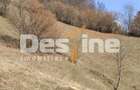 Teren 5000 mp, ideal cabana, pensiune, in zona de interes... - 2
